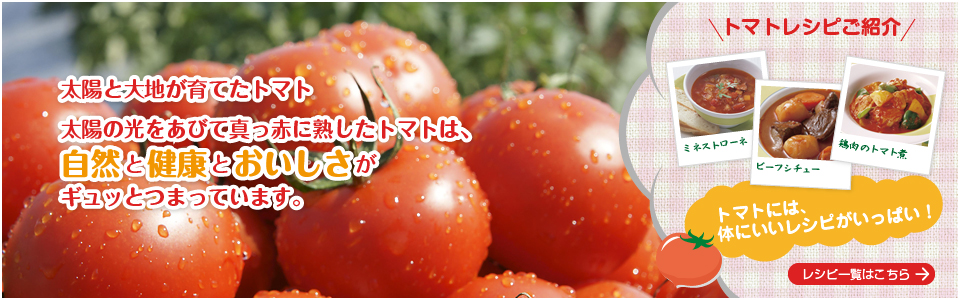 太陽と大地が育てたトマト。太陽の光をあびて真っ赤に熟したトマトは自然と健康とおいしさがギュッとつまっています。